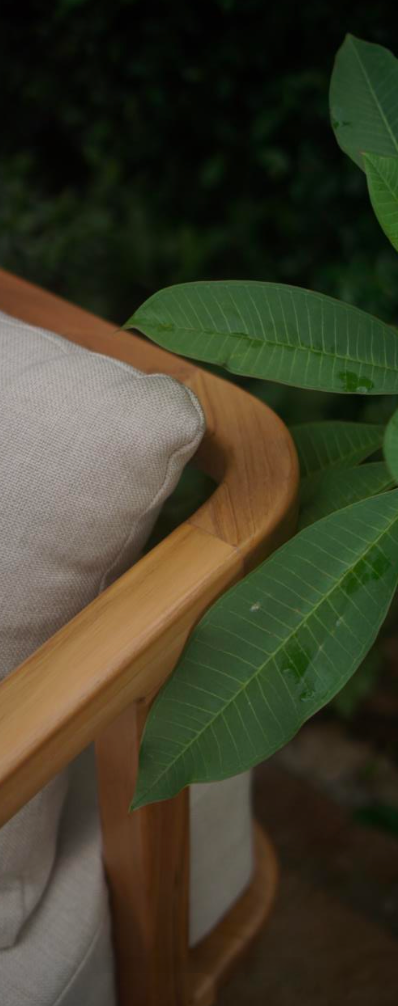 Natural Teak Wood Sofa