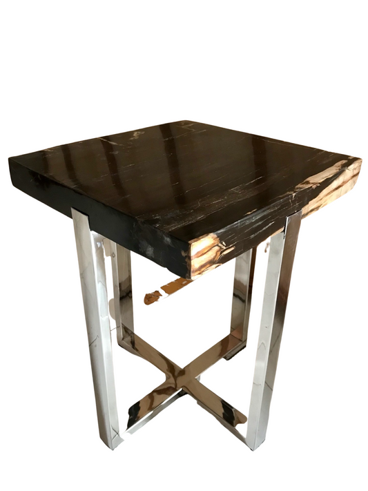 Black Petrified Wood Coffee Table with Stainless Leg
