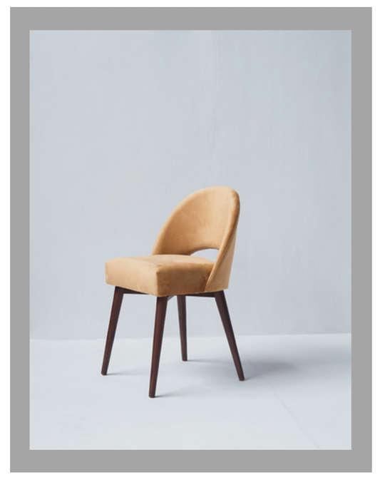 Aesthetic Elegance Chair