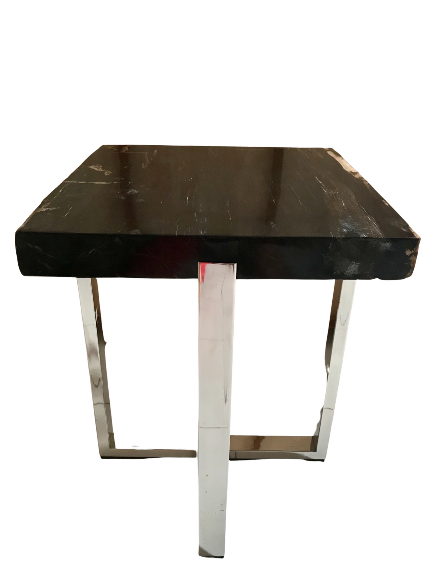 Black Petrified Wood Coffee Table with Stainless Leg