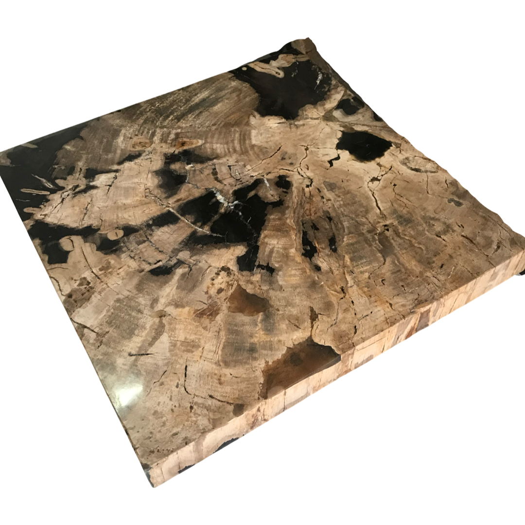 Brown Petrified Wood Coffee Table with Stainless Leg