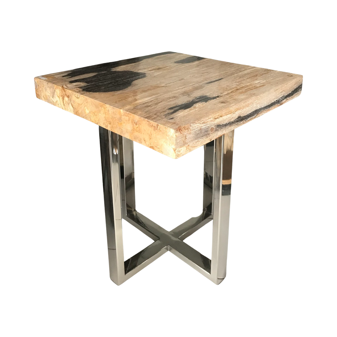 Brown Petrified Wood Coffee Table with Stainless Leg