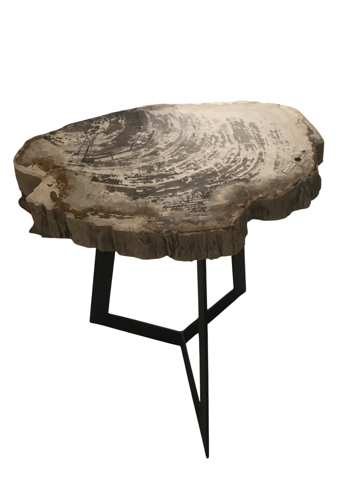 Petrified Wood Coffee Table with Stainless Leg