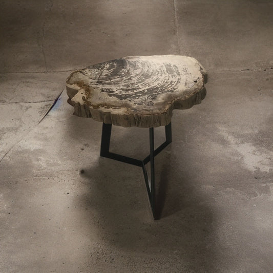 Petrified Wood Coffee Table with Stainless Leg