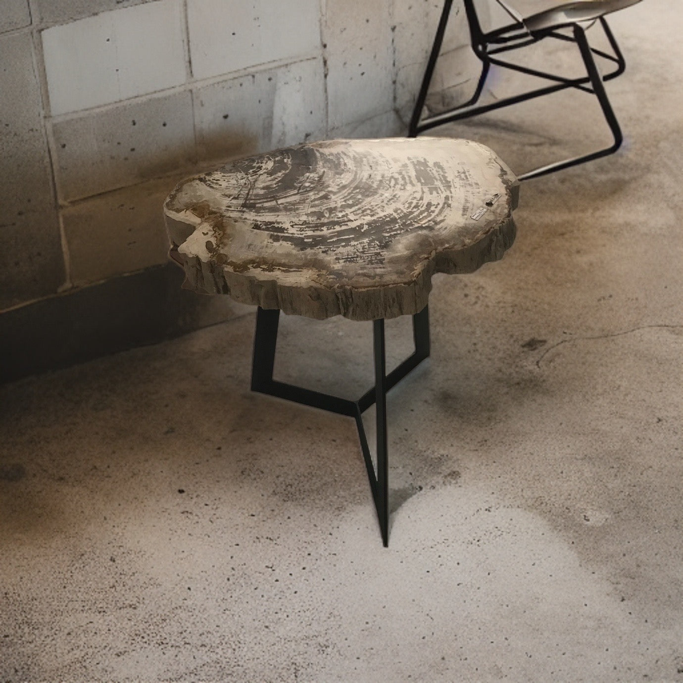 Petrified Wood Coffee Table with Stainless Leg