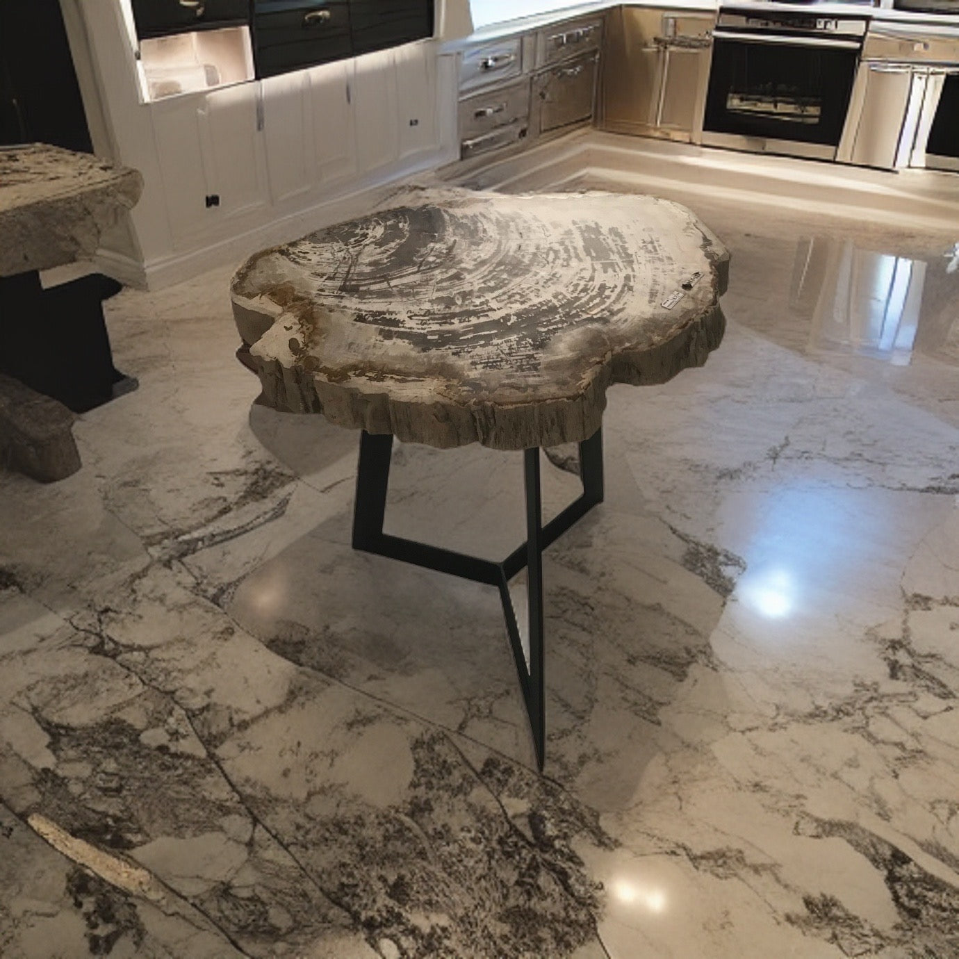 Petrified Wood Coffee Table with Stainless Leg