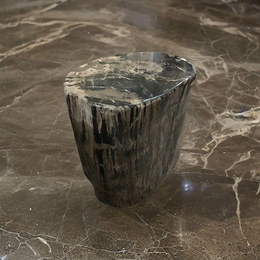 Petrified Stool