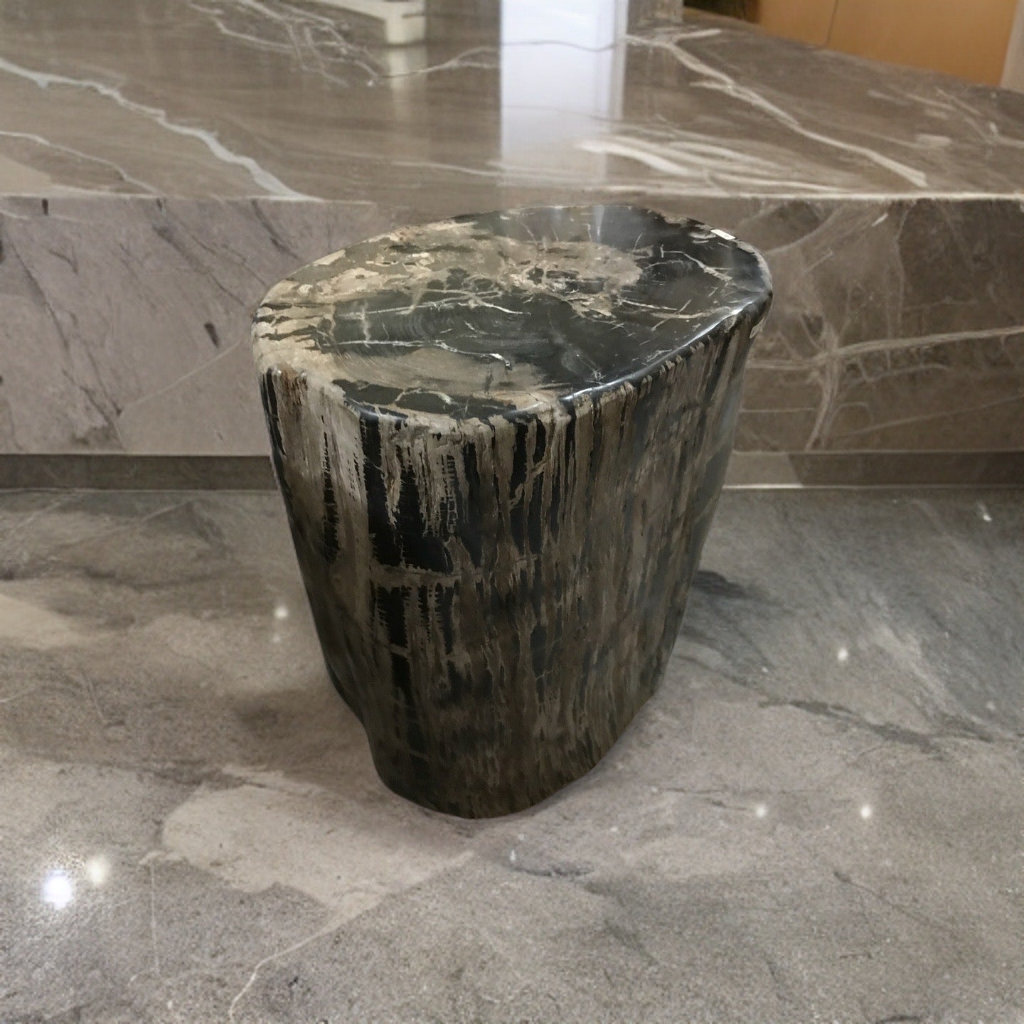 Petrified Stool