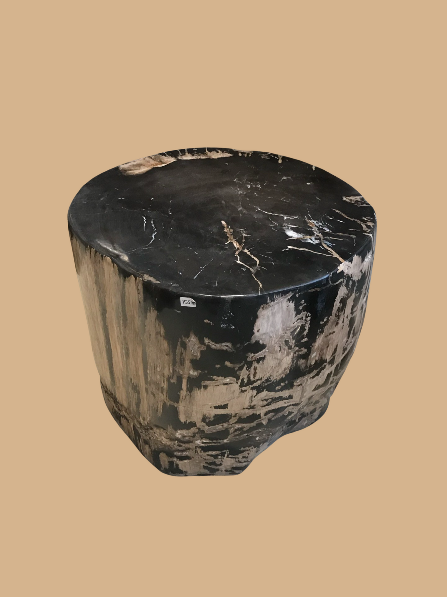 Petrified Black Stool