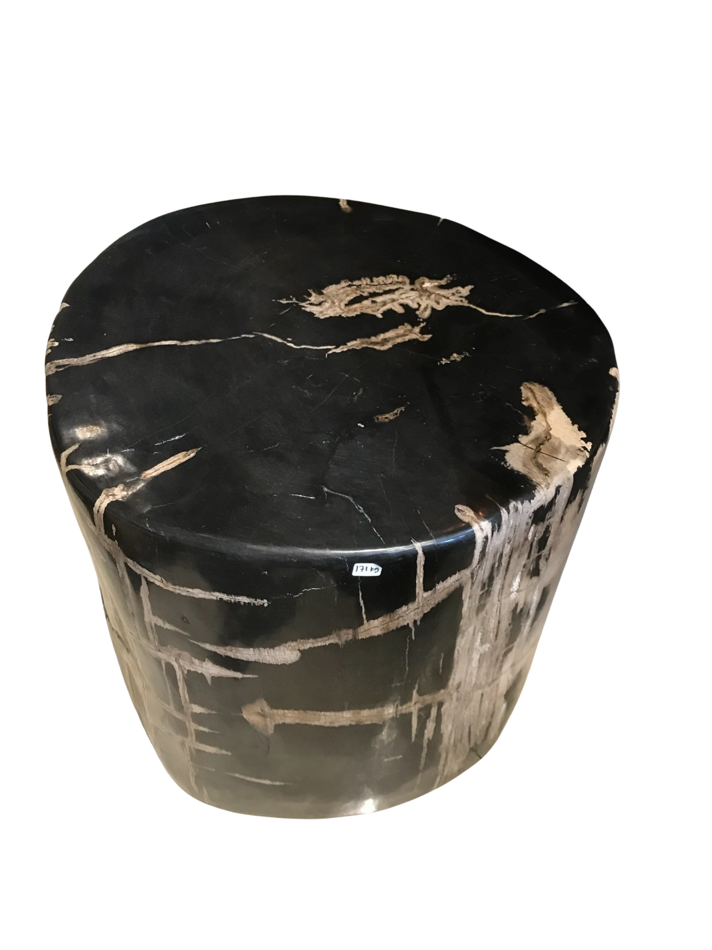 Petrified Black Stool