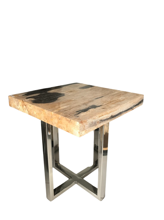 Square Brown Petrified Coffee Table